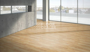 Parador Basic Plus 200 1426411 Клён Натуральный фото 2 | FLOORDEALER